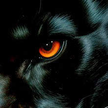 The Panther's Oath