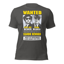 Blues Brothers Wanted