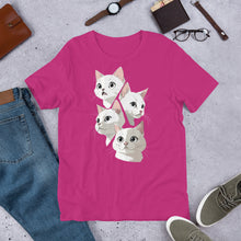 Cat Faces
