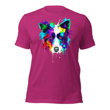Border Collie (Splash)