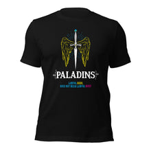Definition of a Paladin