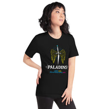 Definition of a Paladin