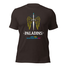 Definition of a Paladin