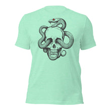 Skull of Snake