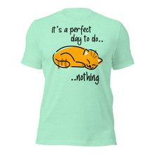 Do Nothing Cat