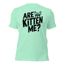 Are You KITTEN Me
