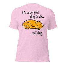 Do Nothing Cat
