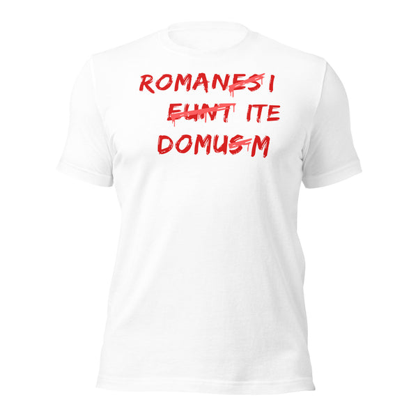 Latin Grammar Lessons