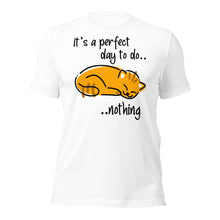 Do Nothing Cat
