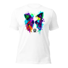 Border Collie (Splash)