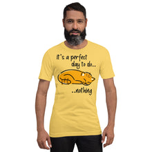 Do Nothing Cat