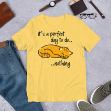 Do Nothing Cat